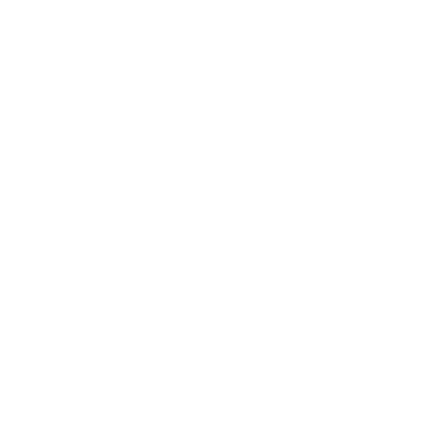 فعالیت های مخصوص